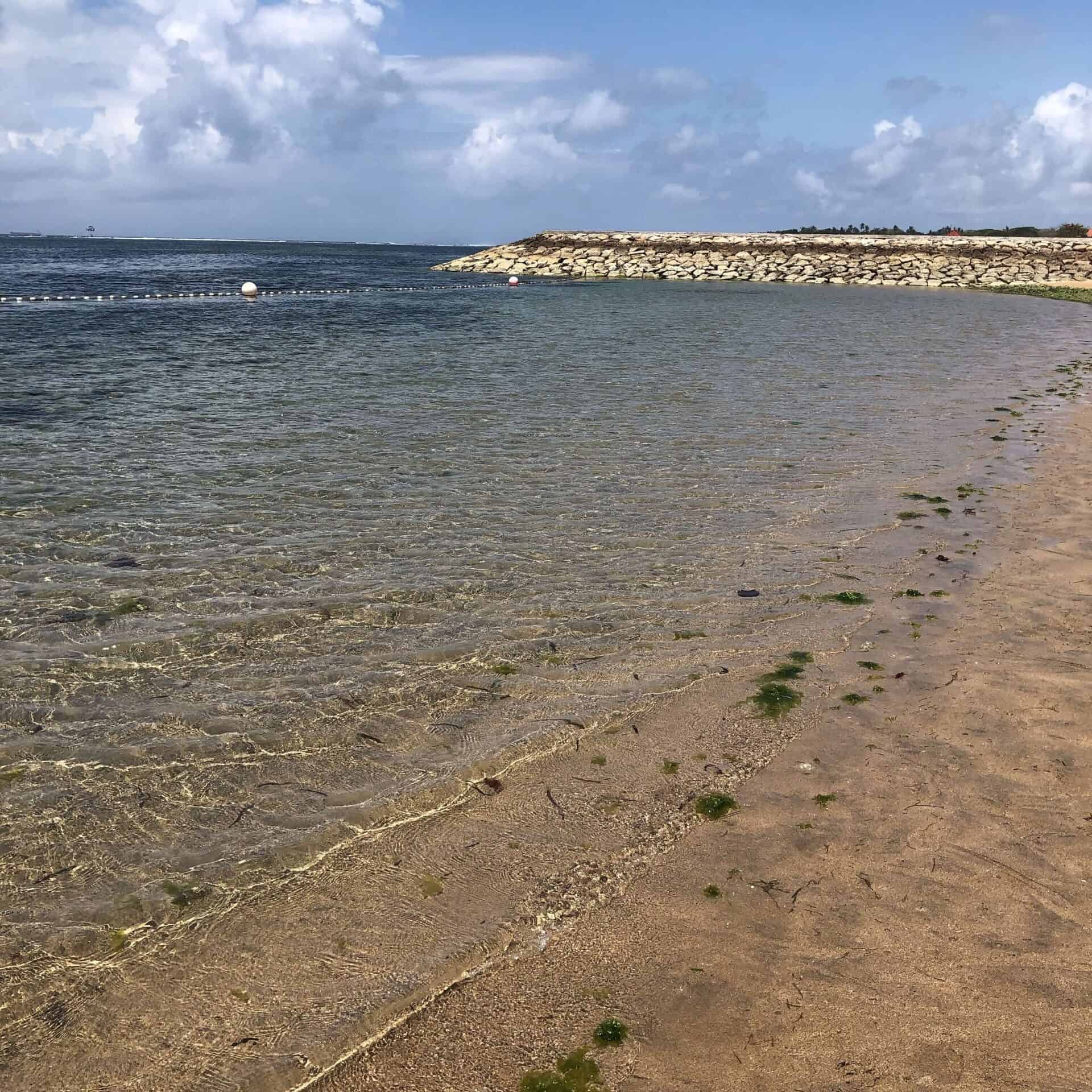 海