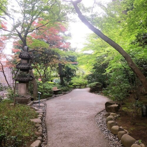 日本庭園の道